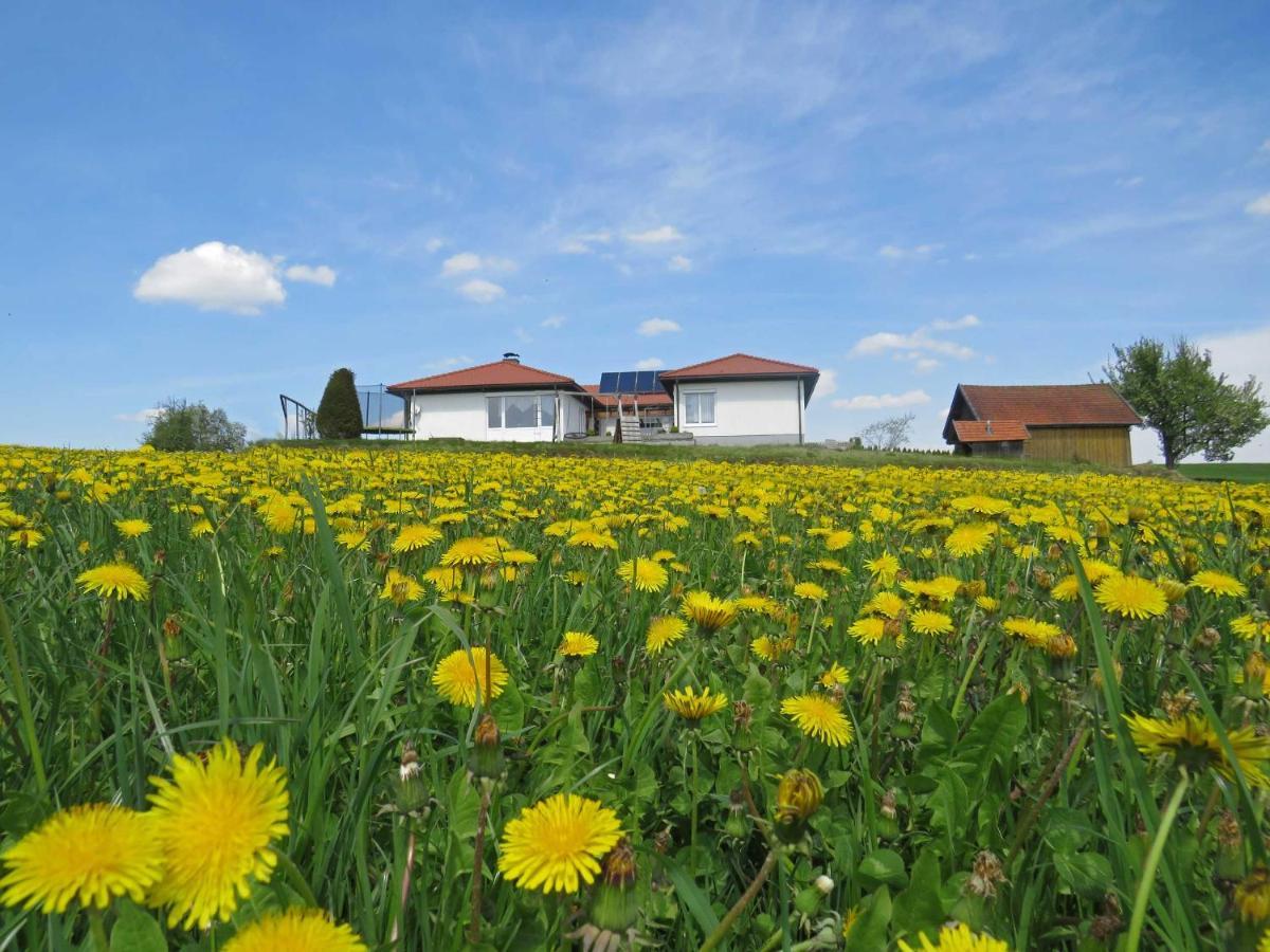 Traumferienhaus Xxl Ortner Wetzendorf Exteriér fotografie